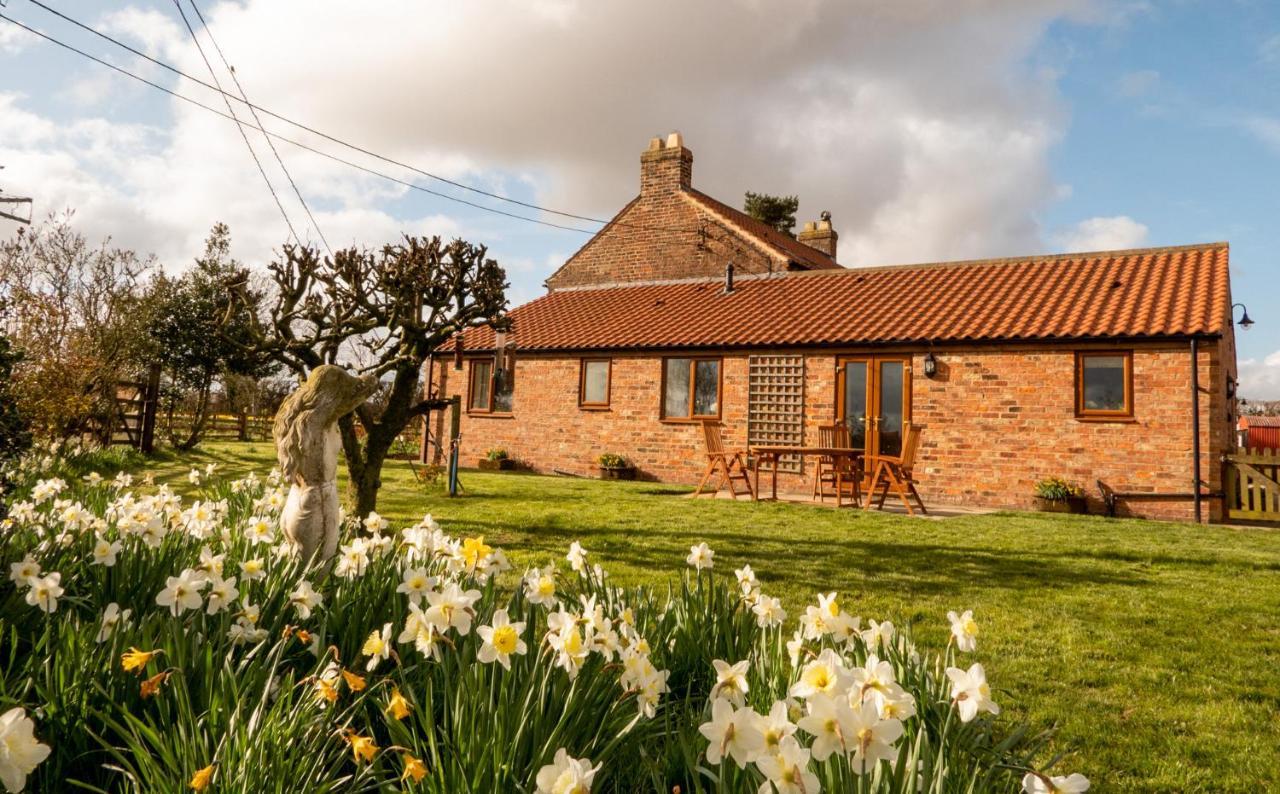 Morndyke Cottage Thirsk Exteriér fotografie
